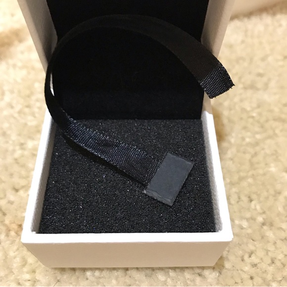 🆕🔥PANDORA(CHARM BOX ONLY) SUPER CUTE CAN BE USED FOR UP TO 10 CHARMS/AUTHENTIC - Picture 3 of 5